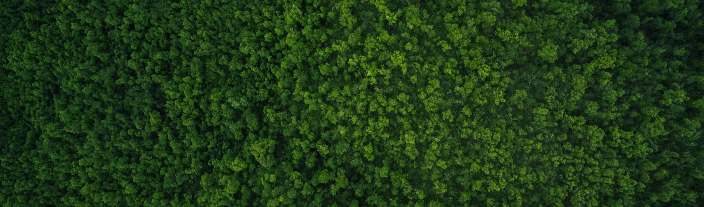 Green Features